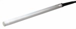 Ultraschall Sonde P4M05N5A P4M05N5A